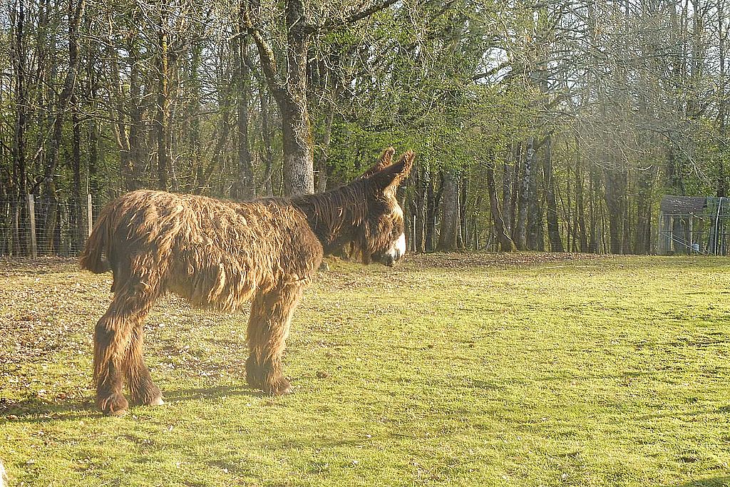 Mielys Sphère, Val de Louyre et Caudeau - photo 6