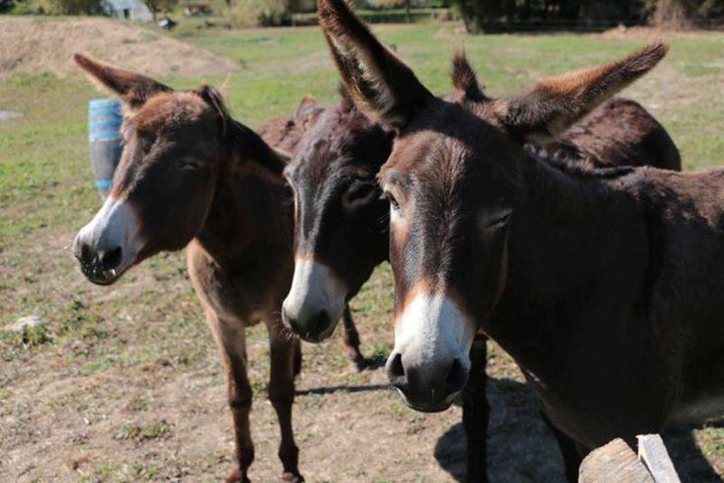 Parc Eden et Sens, Ginestet - photo 9