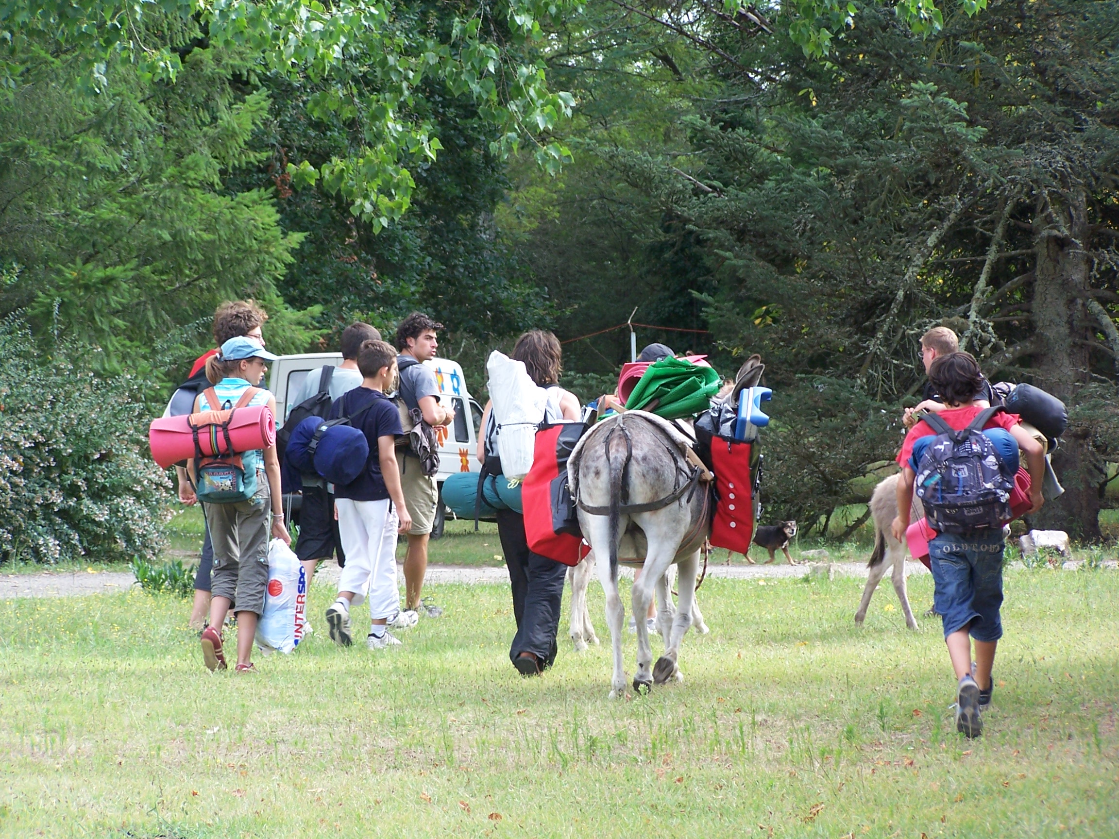 Ânes bâtés Taristourisme