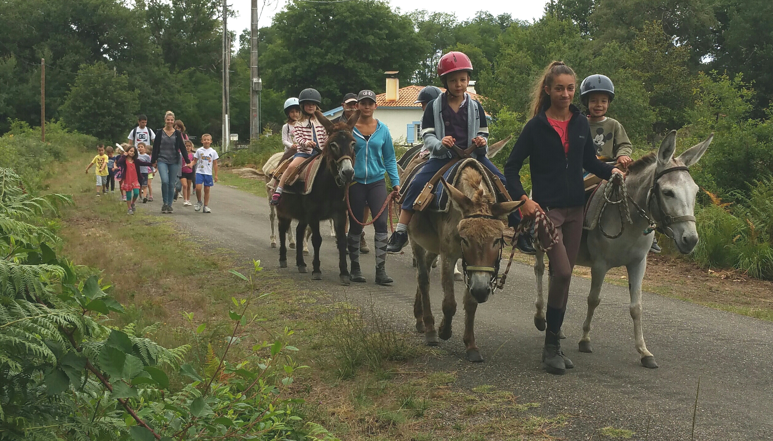 Ânes bâtés Taristourisme - photo 4