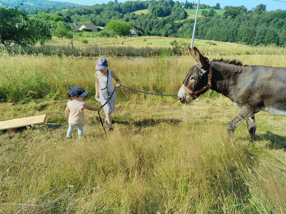 L'âne belle aventure