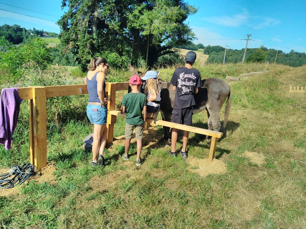 L'âne belle aventure — photo 3