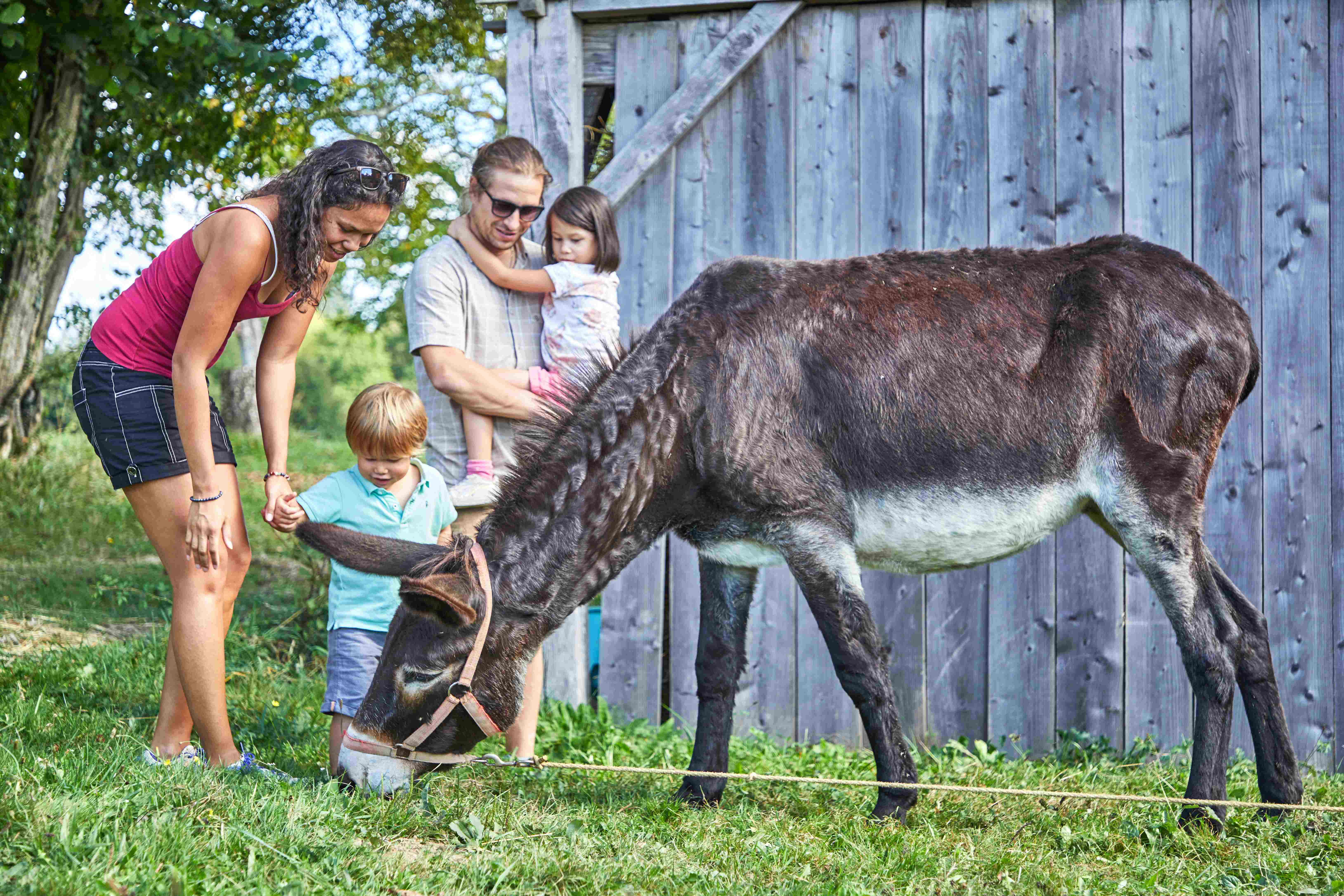La Jaurie - camping Accueil-Paysan - photo 2