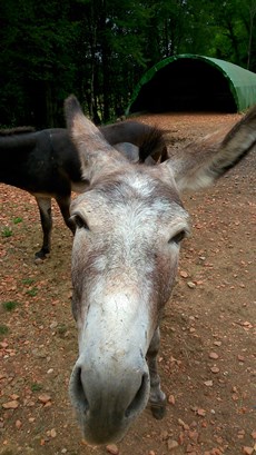 Boucle de l'ancienne voie ferrée