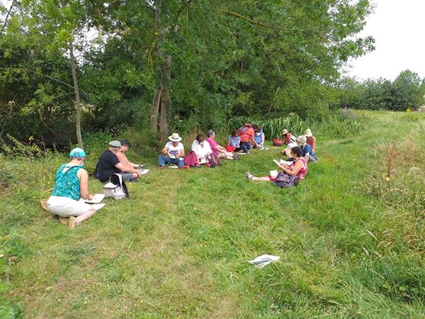 Ateliers - Les plantes dans tous les sens - photo 2