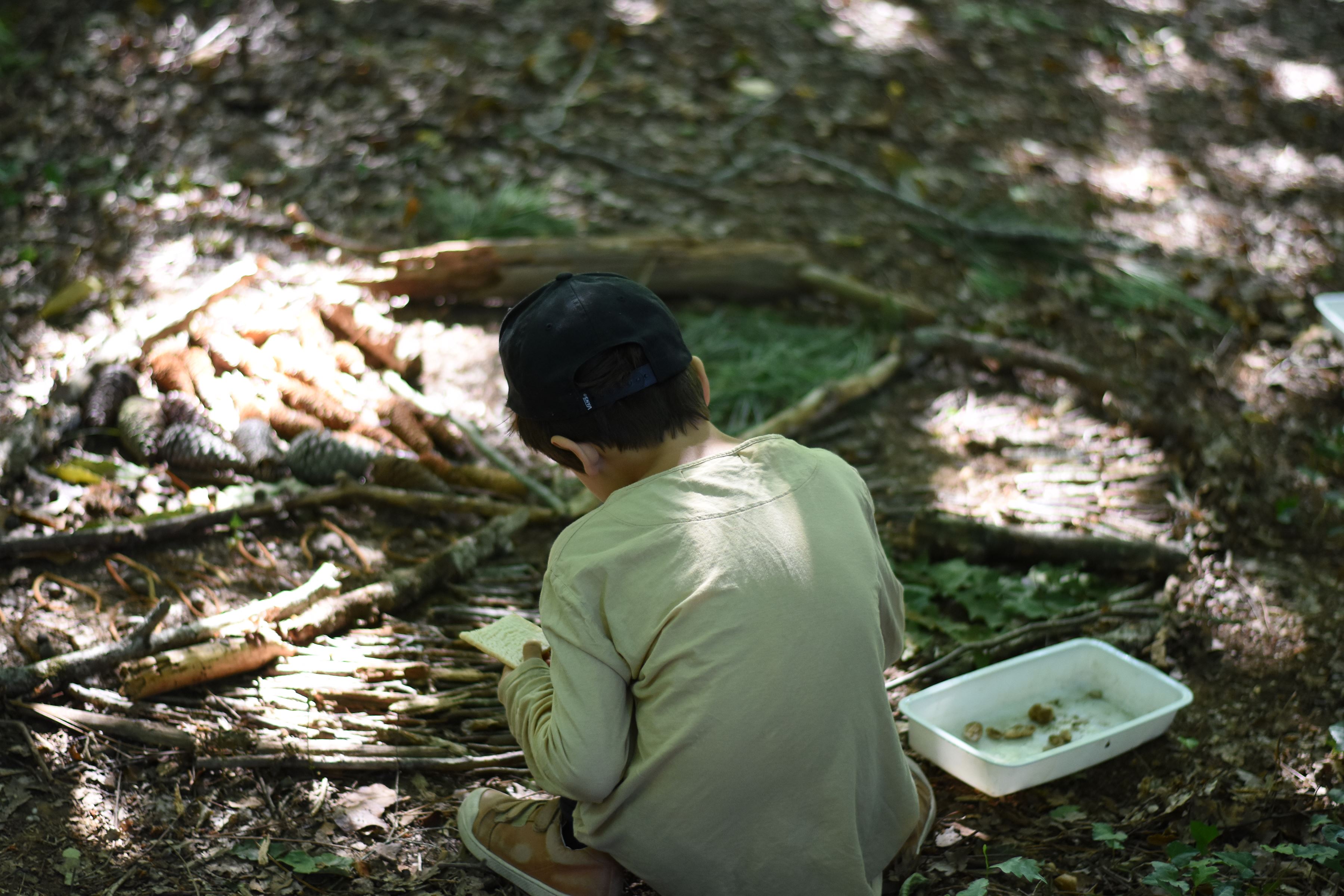Atelier de la forêt