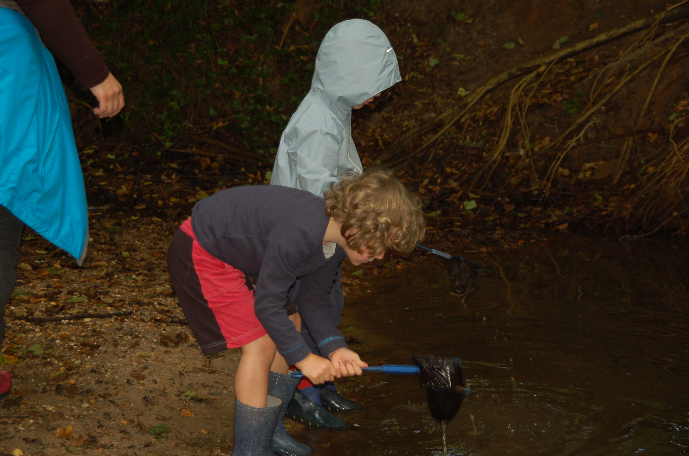 Réserve naturelle géologique de Saucats-La Brède, Saucats - photo 5