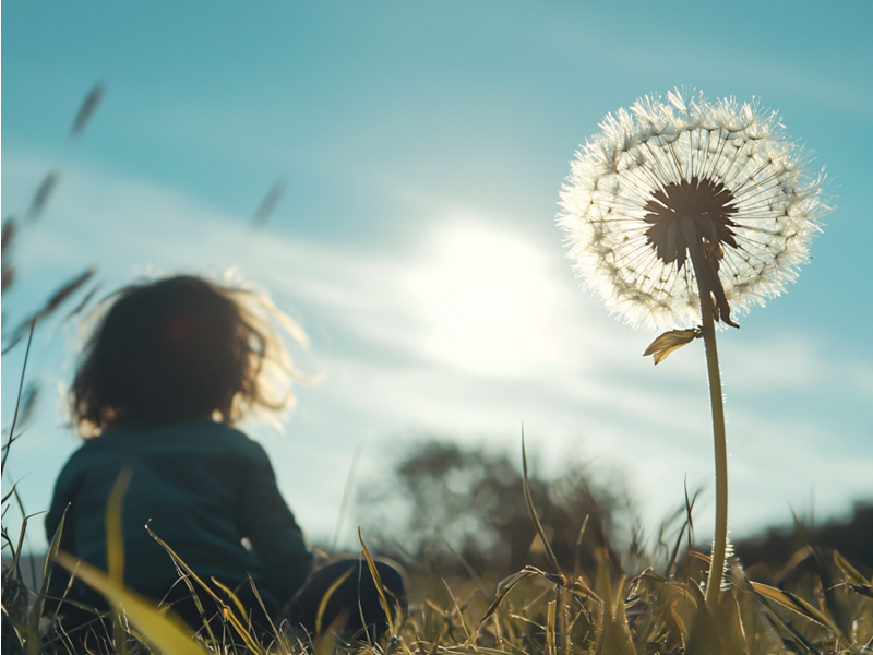 Atelier de reconnexion en nature