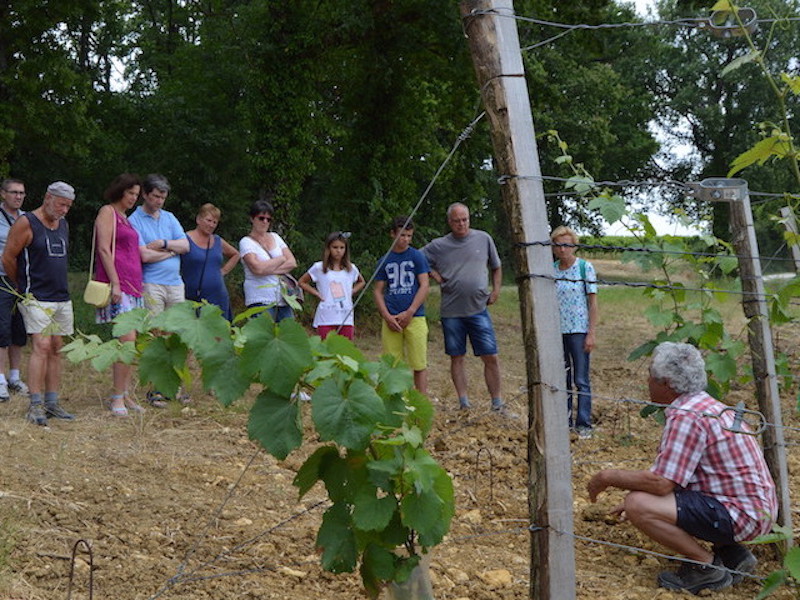 Vigne et vin découverte | Domaine du Siorac, Saint-Aubin-de-Cadelech - photo 3