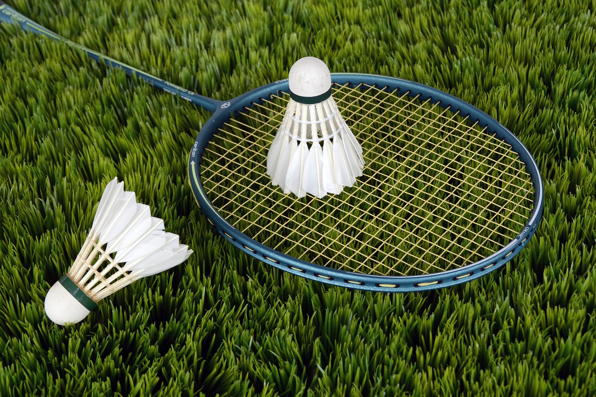 Tournoi Séniors Jean Christophe Lapeyre - Badminton