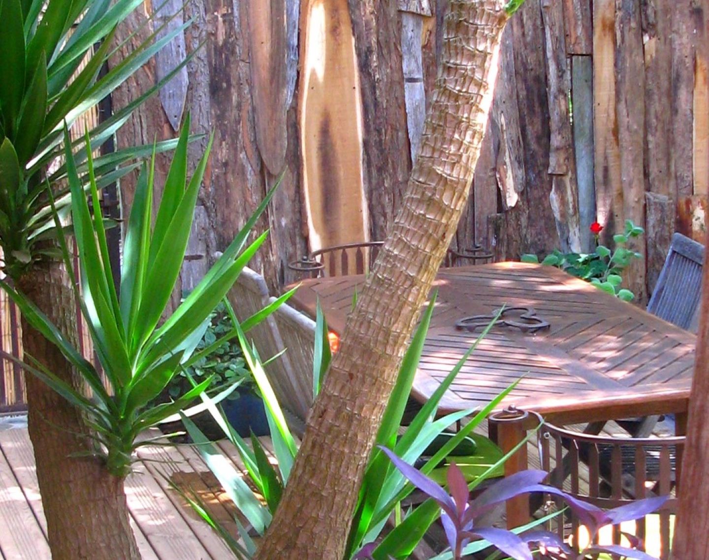 Gîte du "Bain des Oies", Saint-Gladie-Arrive-Munein - photo 10