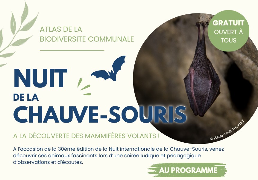 Nuit de la chauve-souris