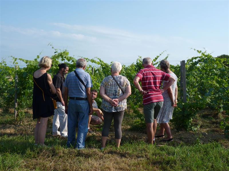 Clos Basté