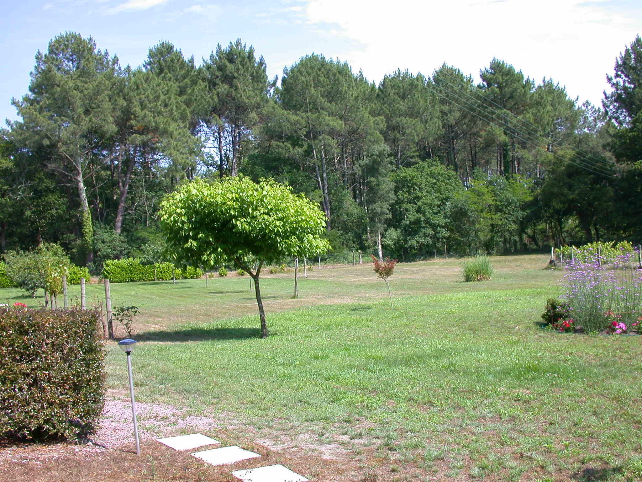 Appartement Au Tusteut - photo 4