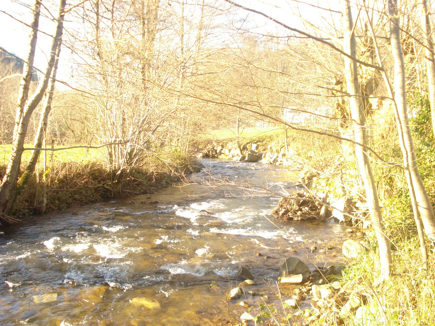 Monsieur Pierre ETCHEVERRY "behika", Ahaxe-Alciette-Bascassan