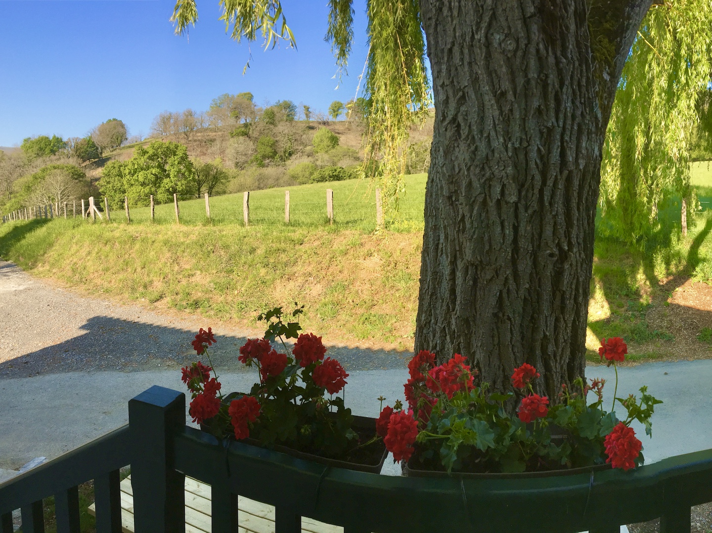 Madame Nathalie POURTAU "La Grange d'Etxexuria", Lantabat - photo 6