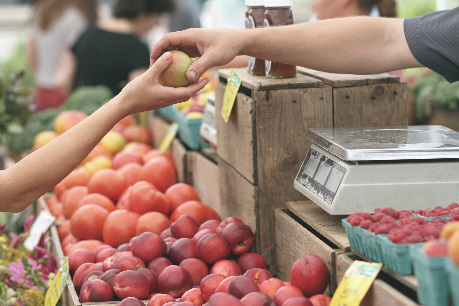 Marché de plein air de Podensac le jeudi — Marchés & Foires à Gironde