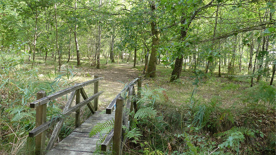 Sentier pédagogique et Arboretum de Graine de Forêt, Garein - photo 8