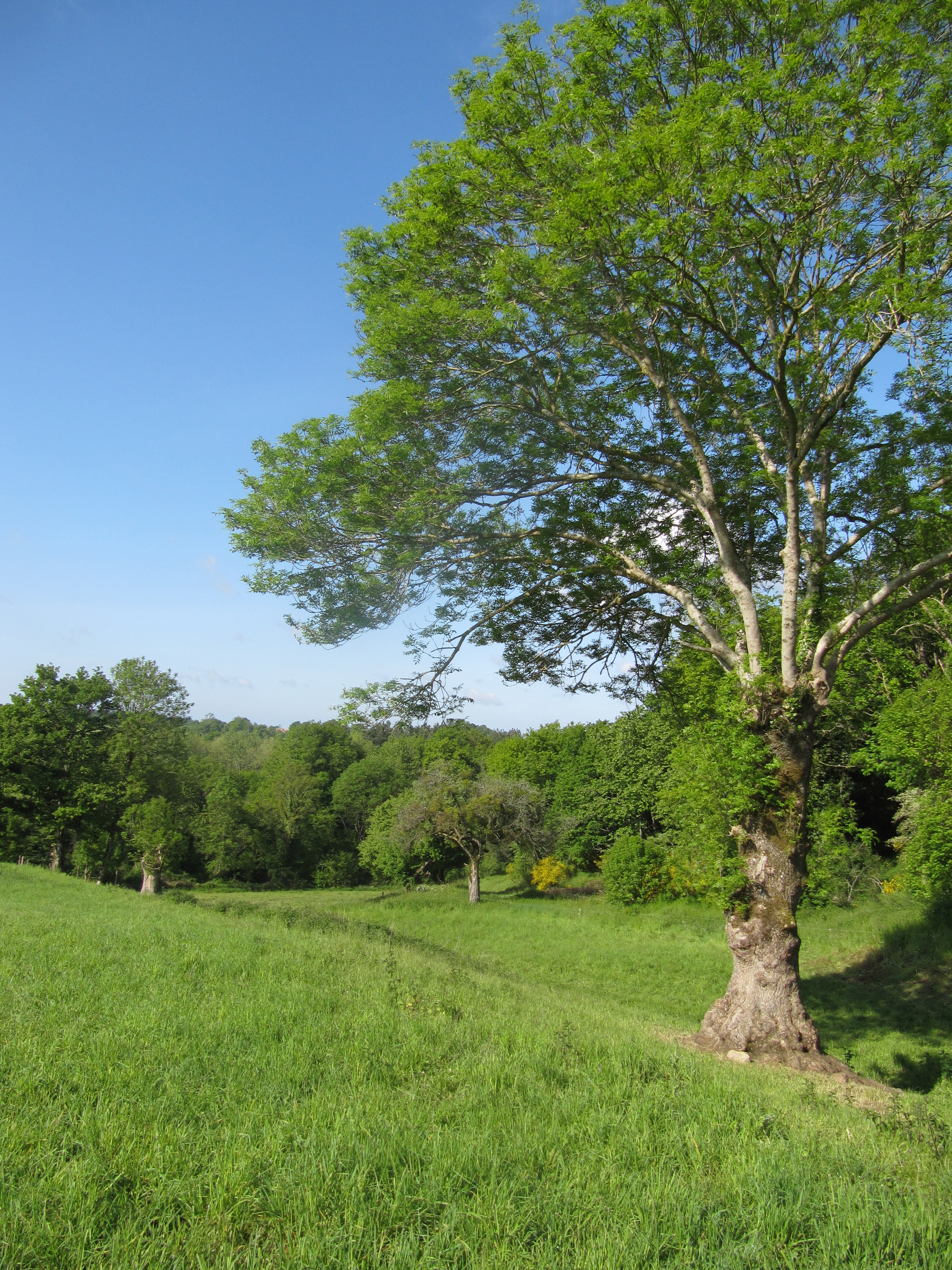 Gîte "La Cabrette", Pompaire - photo 19