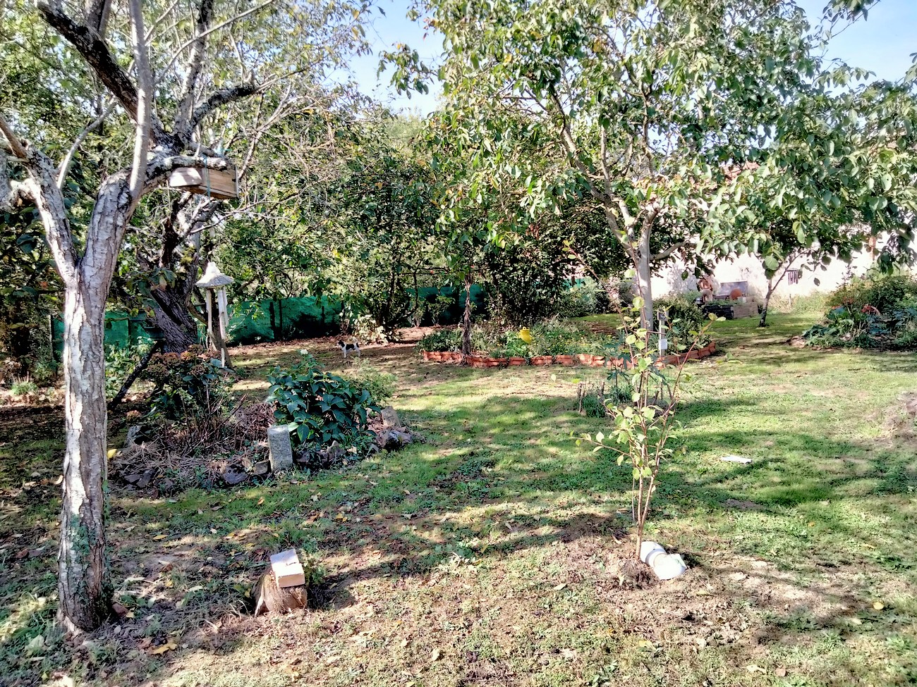 Jardin de la Tournerie, Argentonnay - photo 4