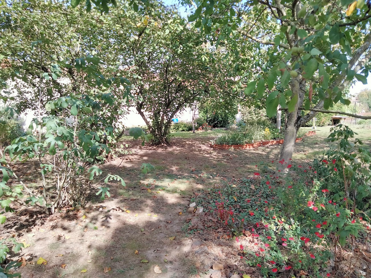 Jardin de la Tournerie, Argentonnay - photo 7