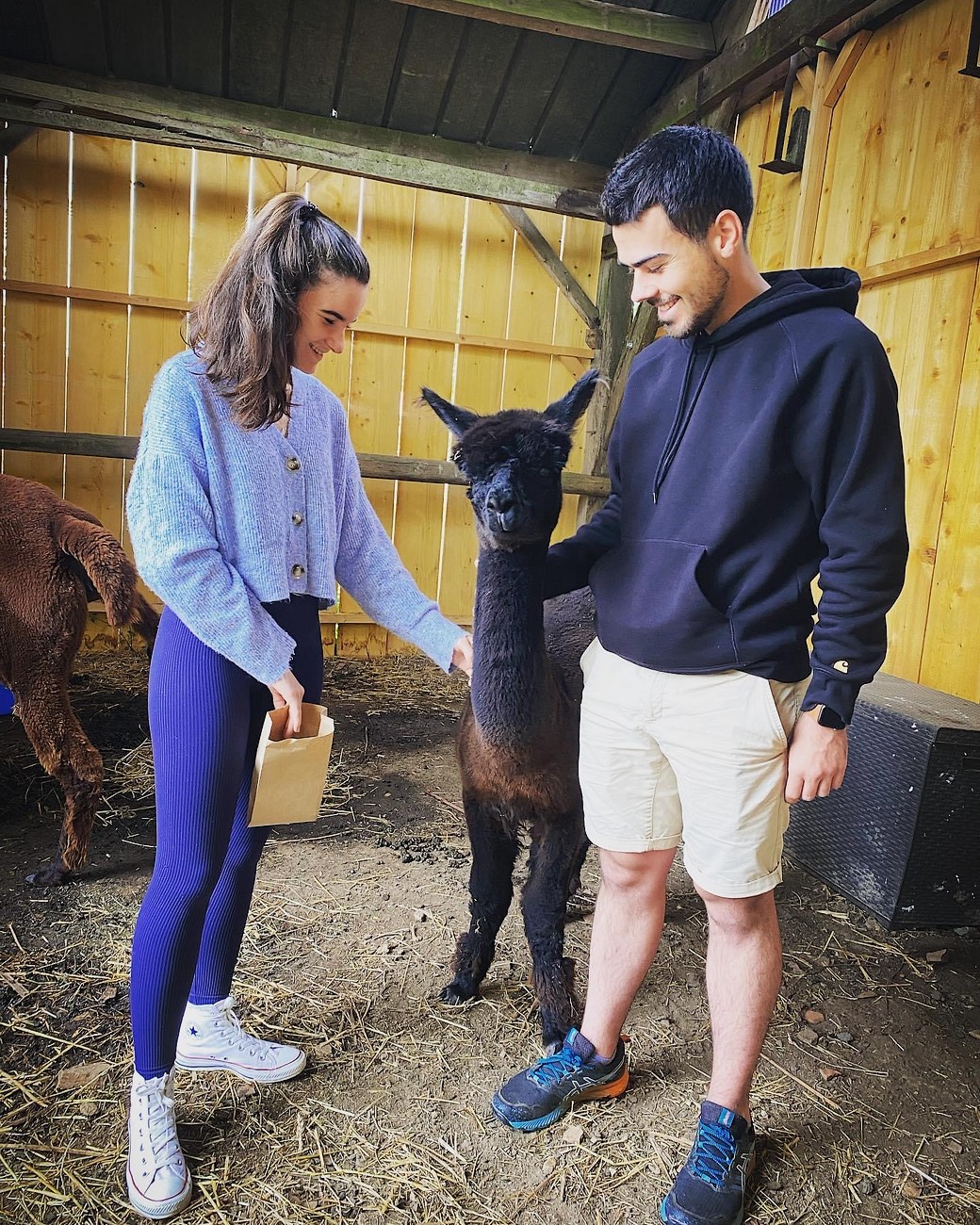 La Petite Ferme d'Alpagas Sanzay, Argentonnay - photo 9