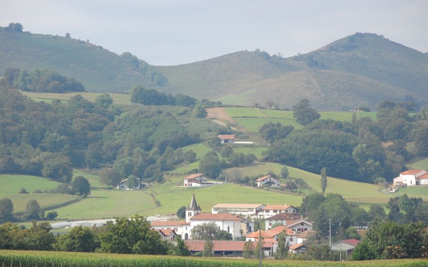 Orchestre Symphonique du Pays Basque : L'histoire de Babar (concert jeune public), Armendarits