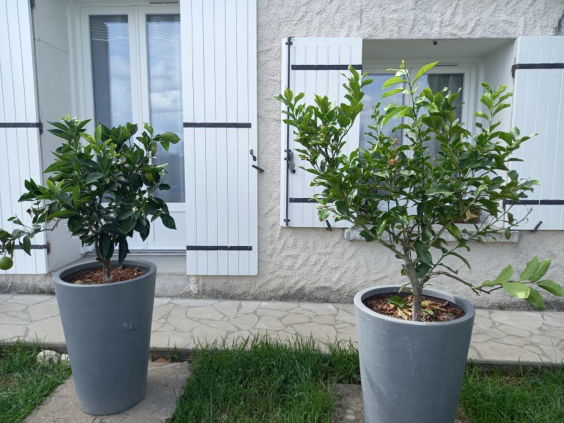 Le gîte du Moulin de Roc, Armillac - photo 4