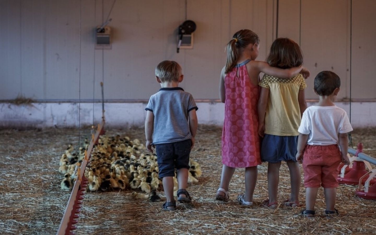 Ferme Arnabar - photo 2