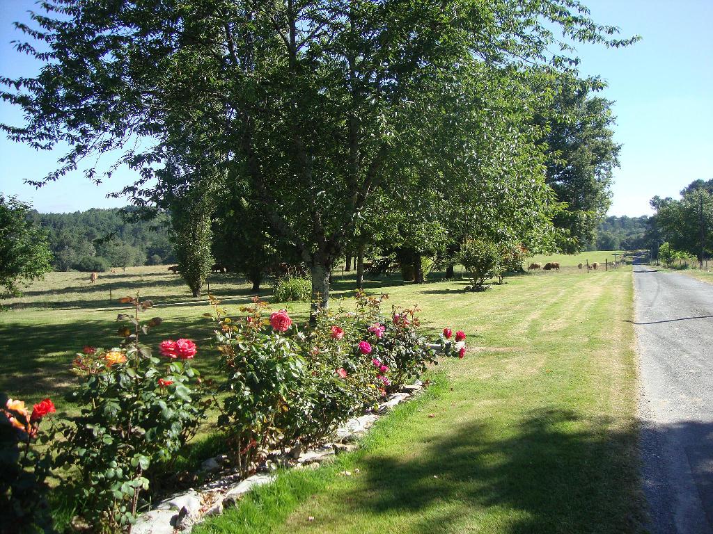 La Ferme du Parc, Saint-Étienne-de-Puycorbier - photo 10