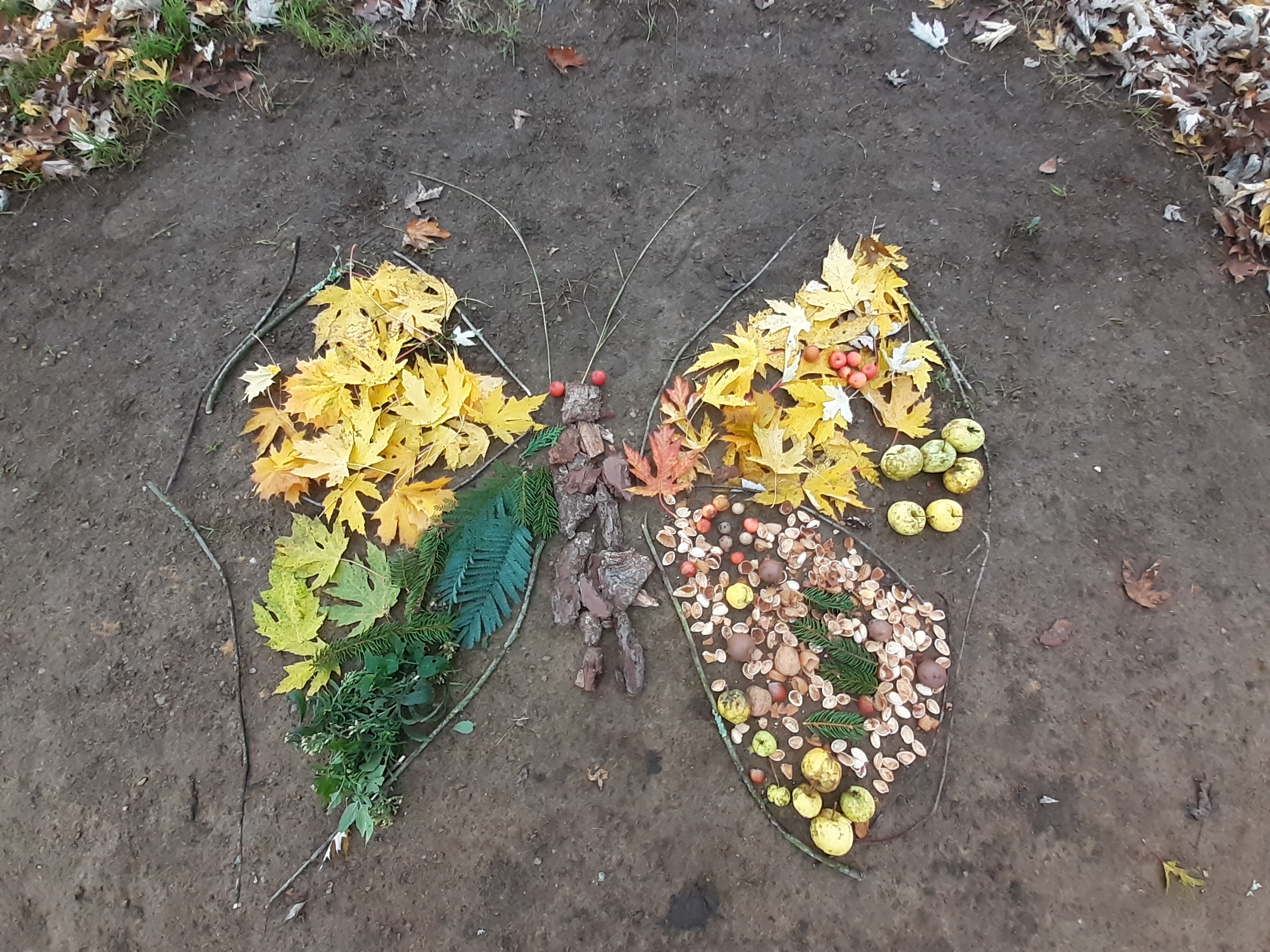 Réserve naturelle géologique de Saucats-La Brède, Saucats - photo 2