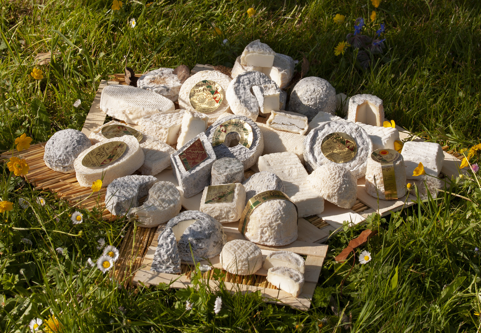 Fromagerie des Gors - Artisan Fromager