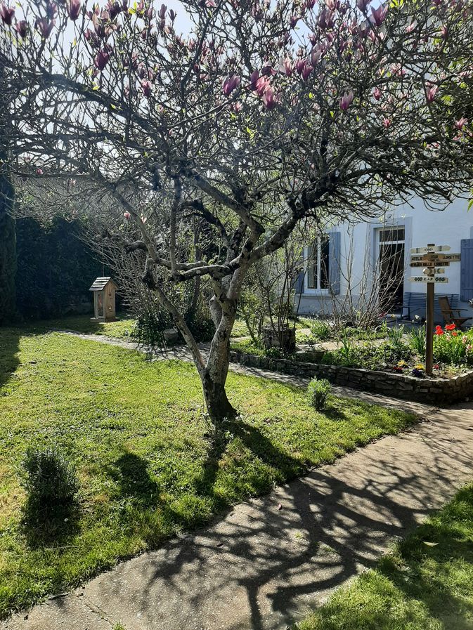 Atelier Belle Lurette - photo 3