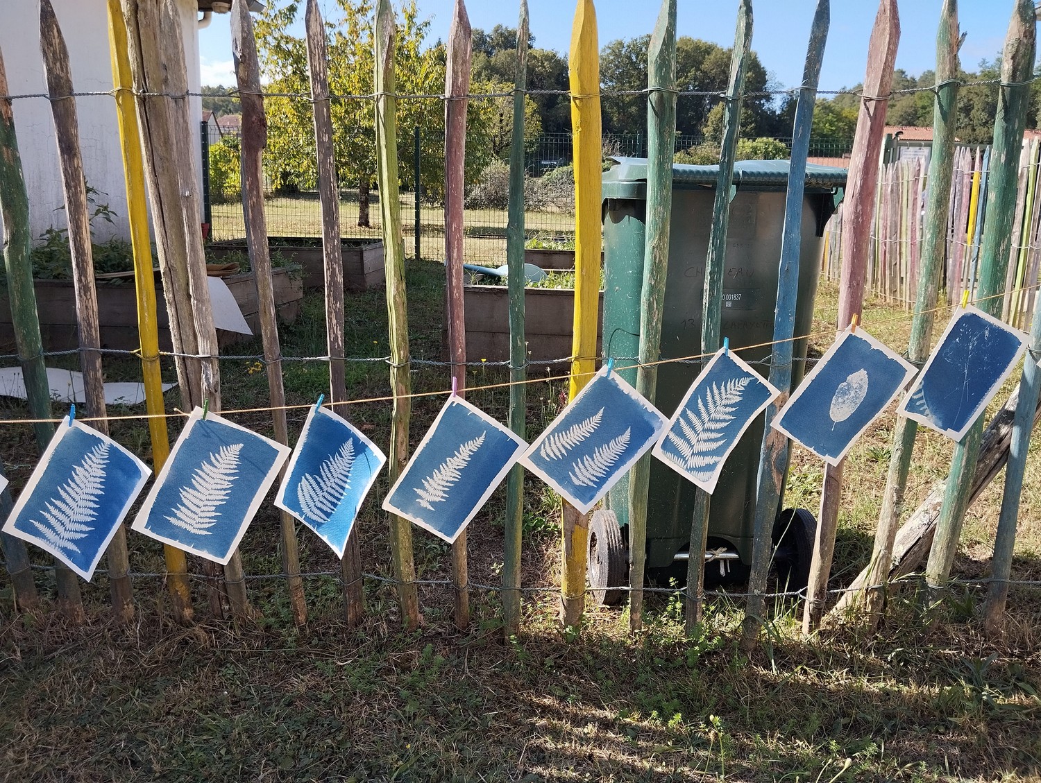 Atelier cyanotype sur papier, Payzac - photo 2