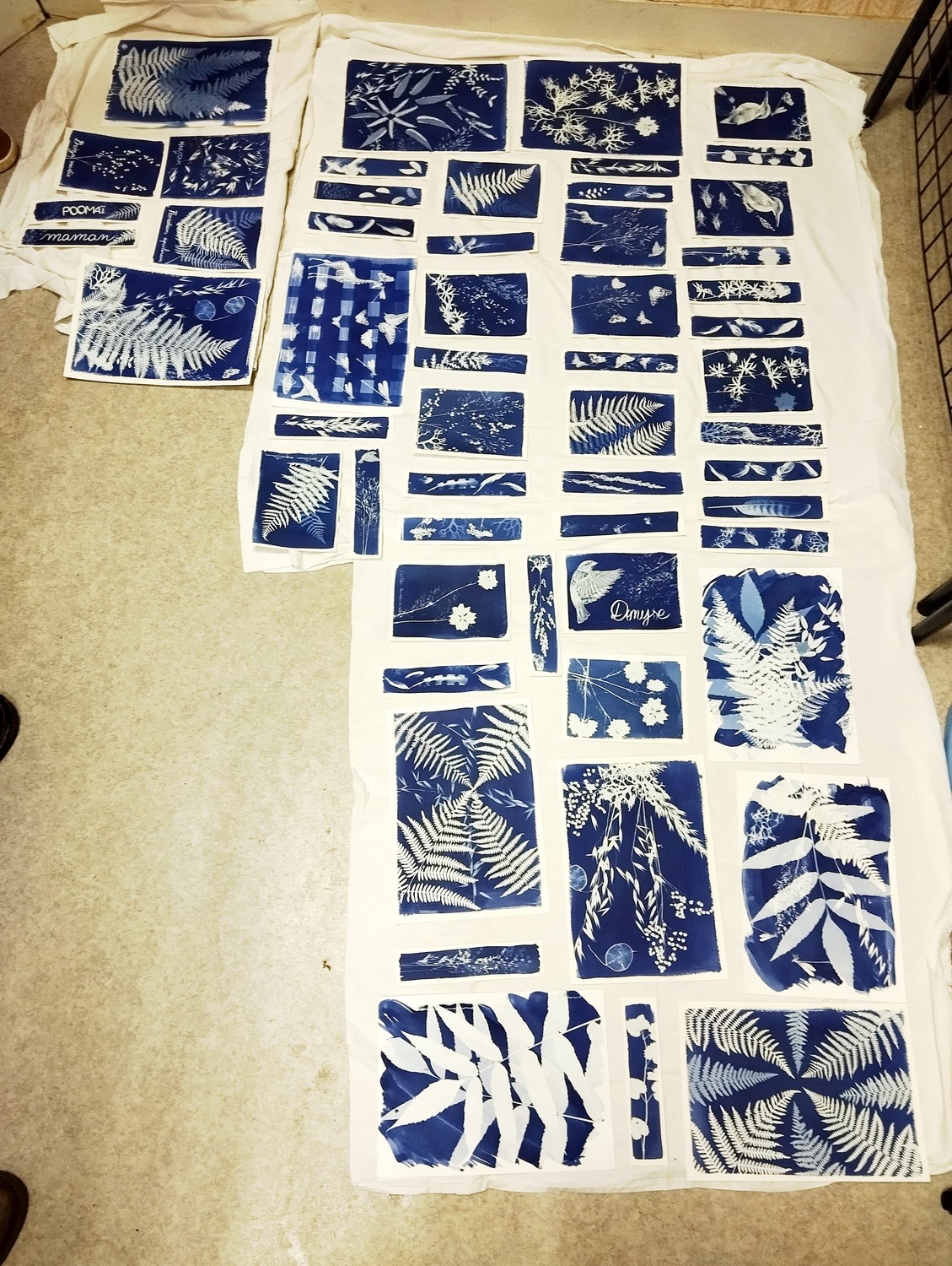 Atelier cyanotype sur papier, Payzac