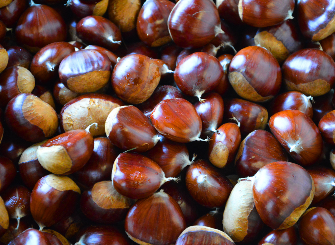 L'atelier de la châtaigne - photo 5