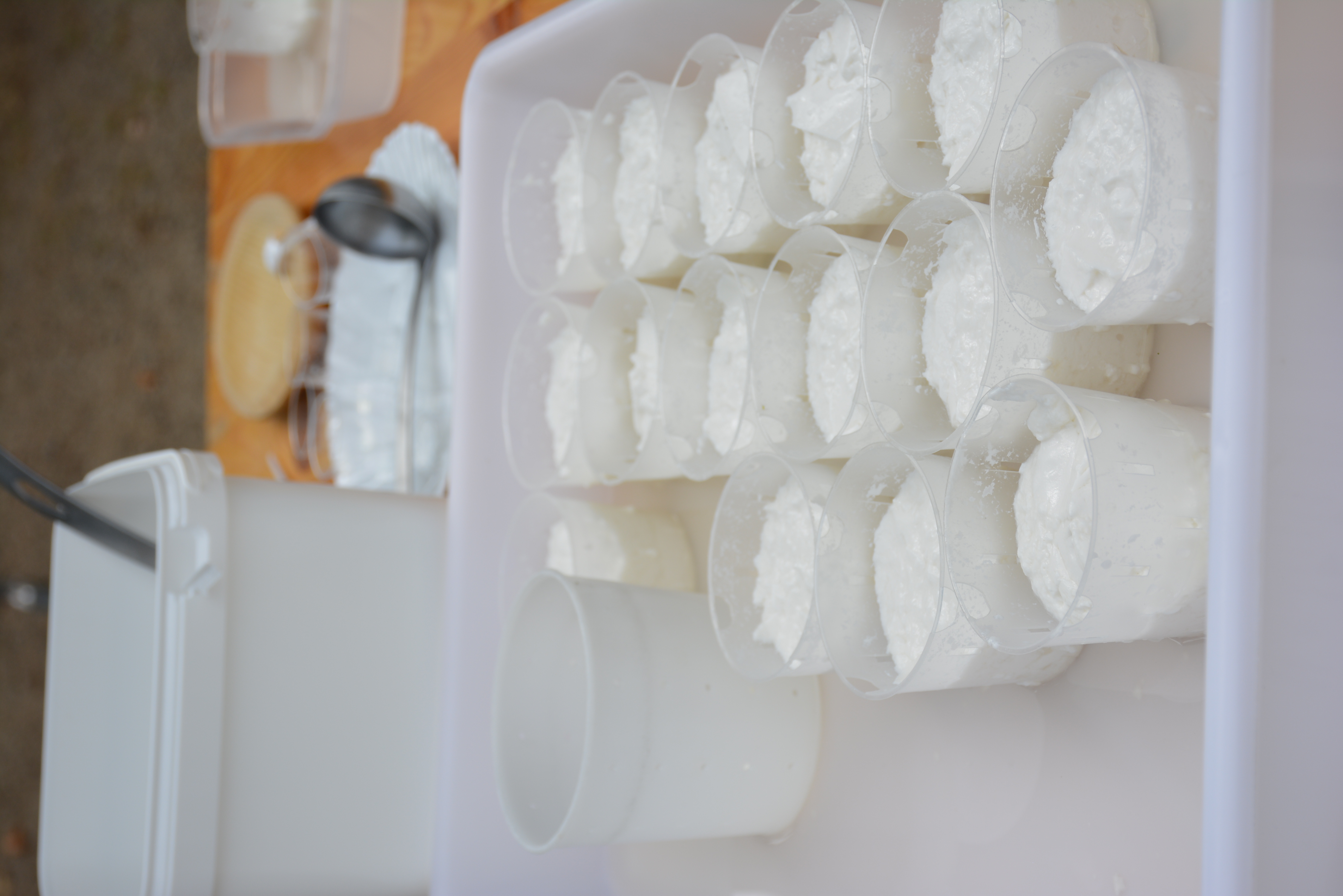 Ateliers découverte - Maison des Fromages de Chèvre