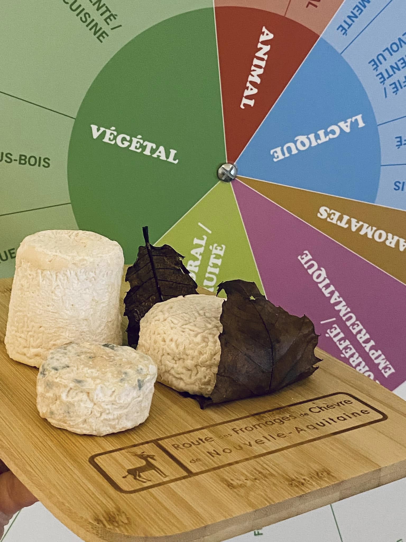 Ateliers découverte - Maison des Fromages de Chèvre - photo 3