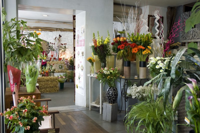 atelier-la-o-la-interieur.jpg