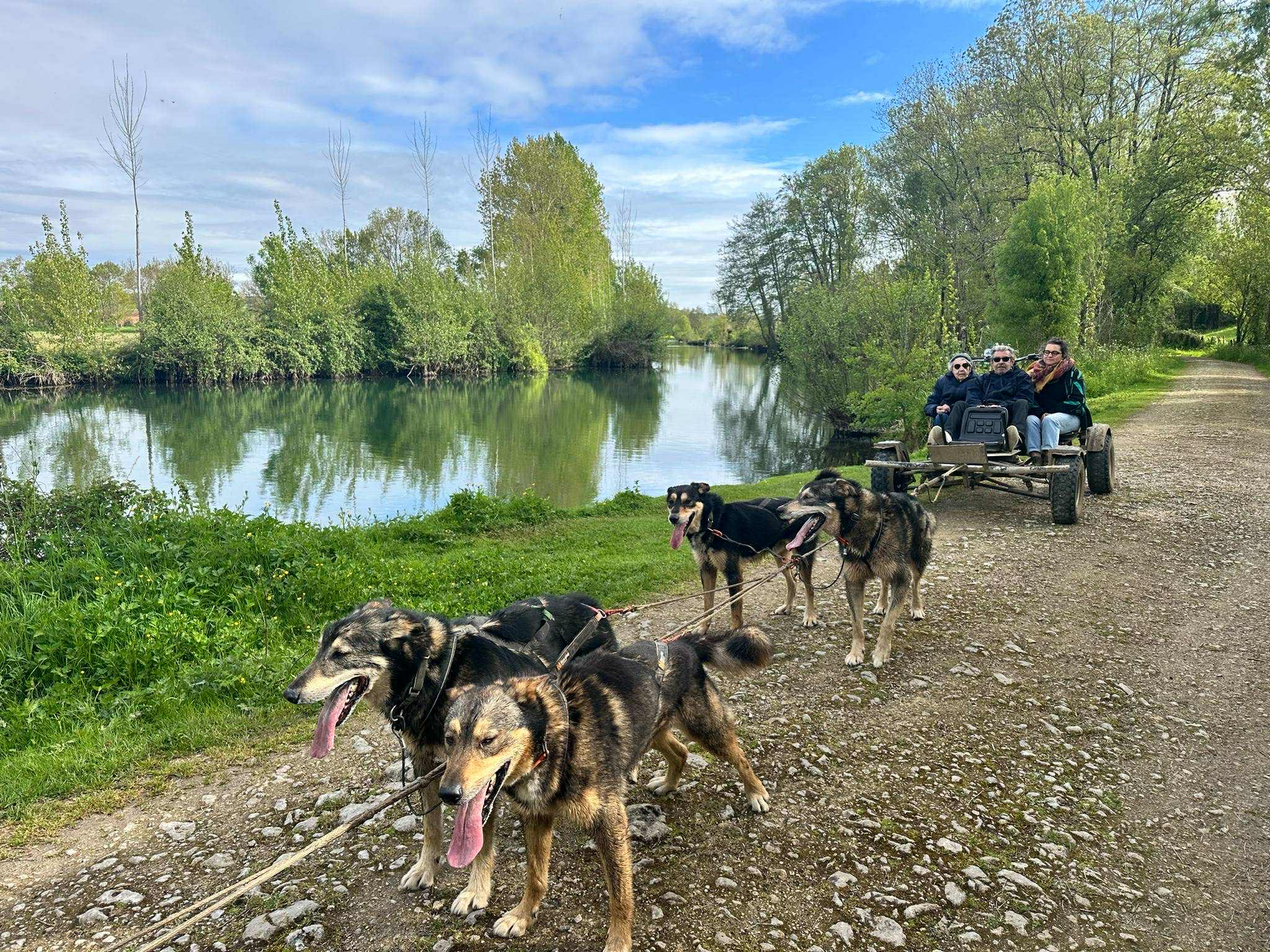 Attelage de Gué "Mushing"