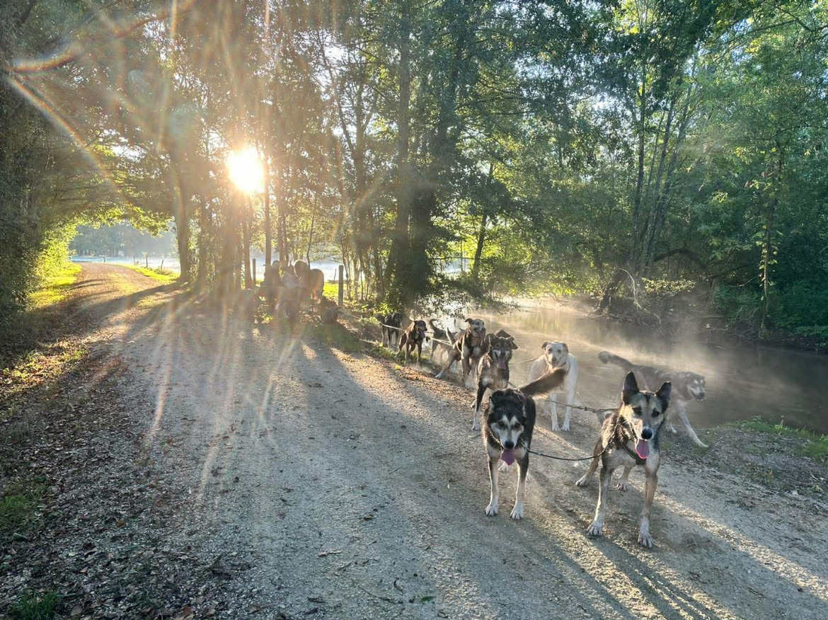 Attelage de Gué "Mushing" - photo 3