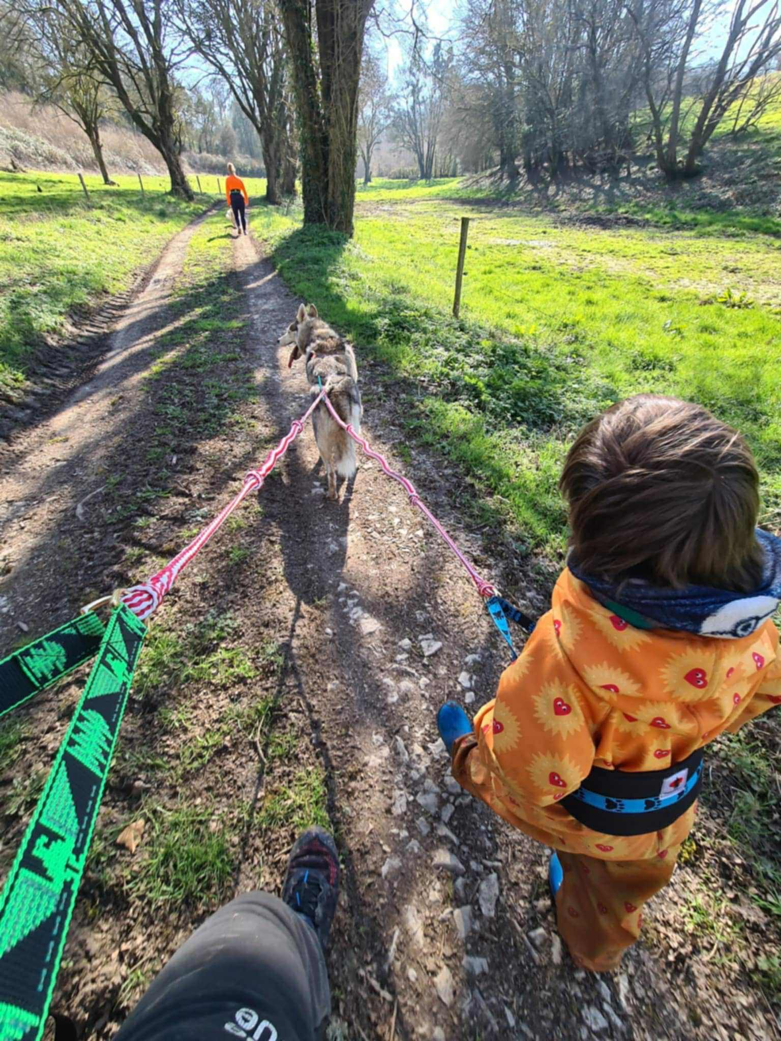Attelage de Gué "Mushing" - photo 4