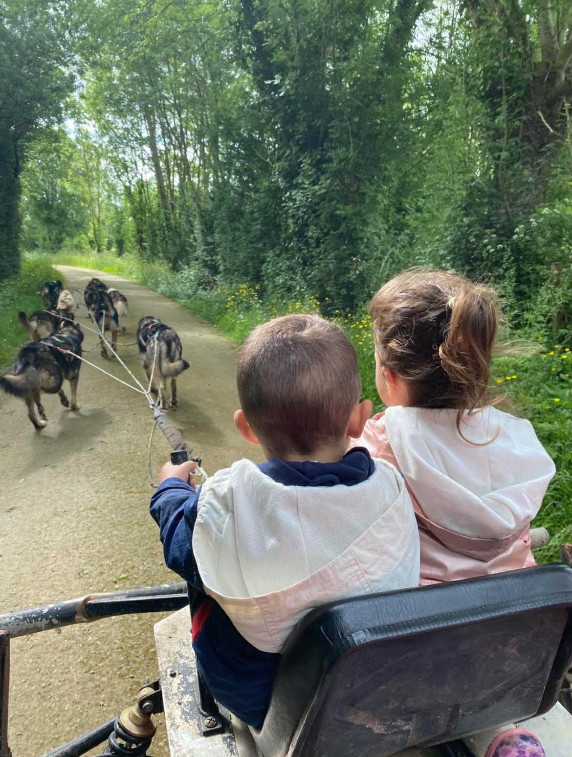 Attelage de Gué "Mushing" - photo 2