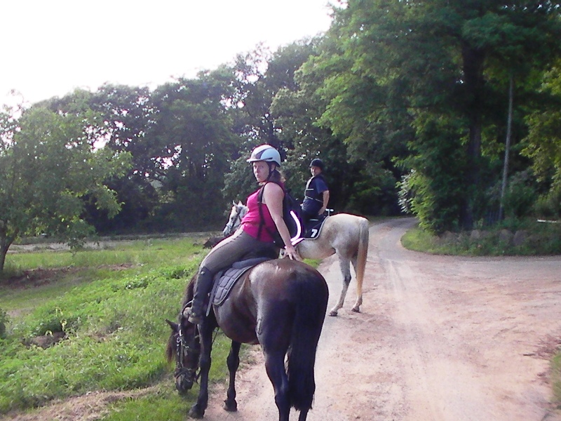 Au cheval qui brouste