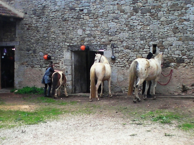 Au cheval qui brouste - photo 2