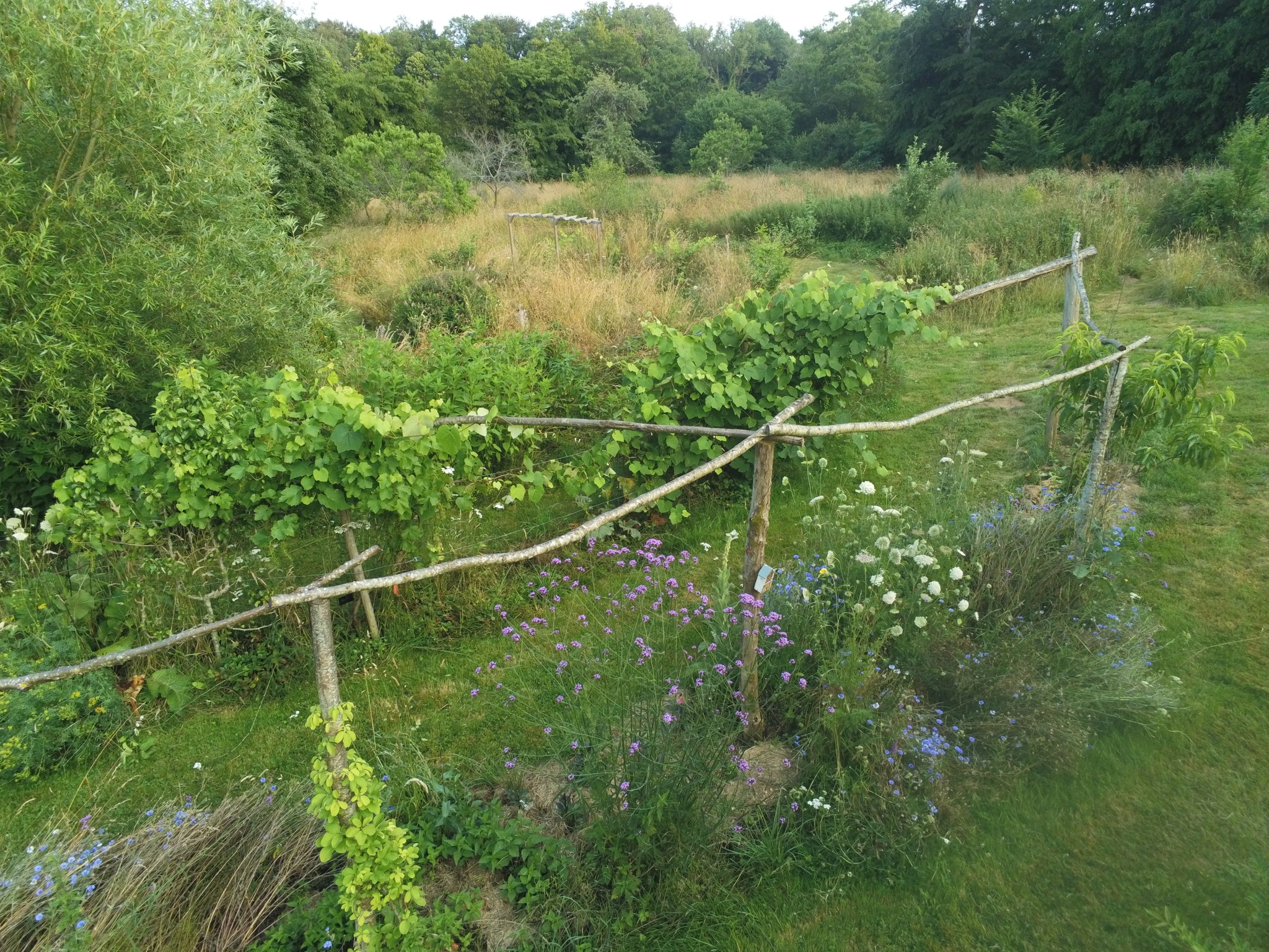 Au jardin des harmonies, Saint-Sébastien - photo 3