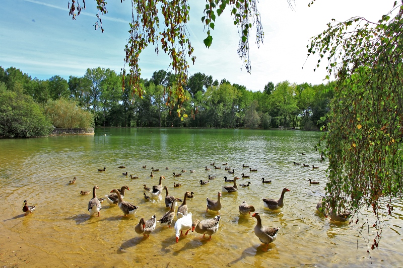 Auberge de l'Etang Bleu, Mareuil en Périgord - photo 8