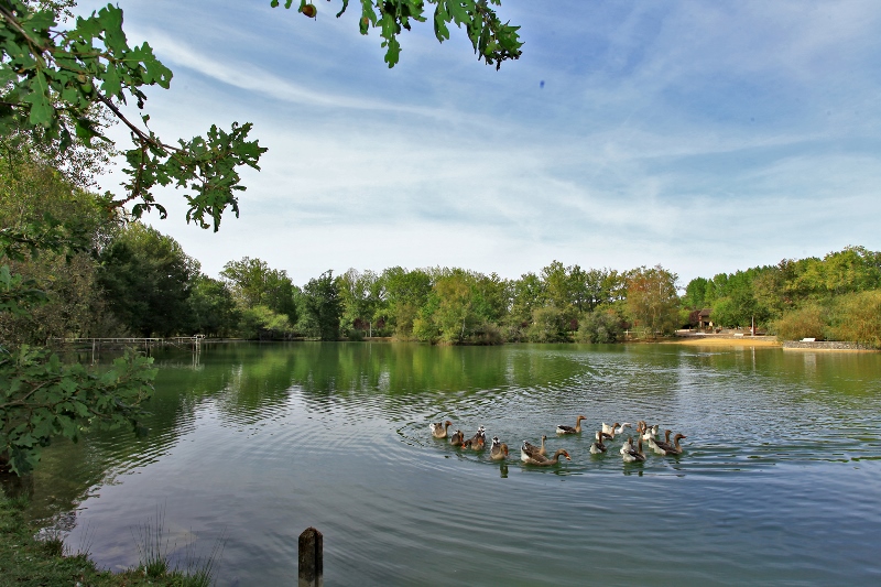 Auberge de l'Etang Bleu, Mareuil en Périgord - photo 6