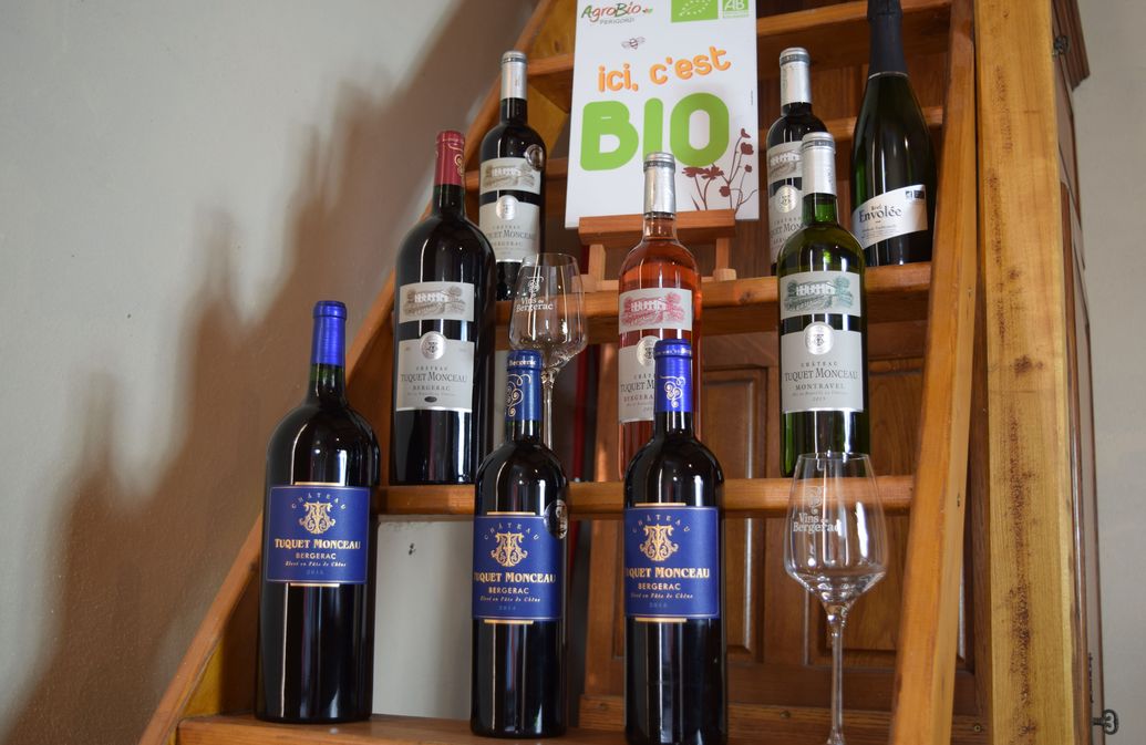 Château Tuquet Monceau - photo 5