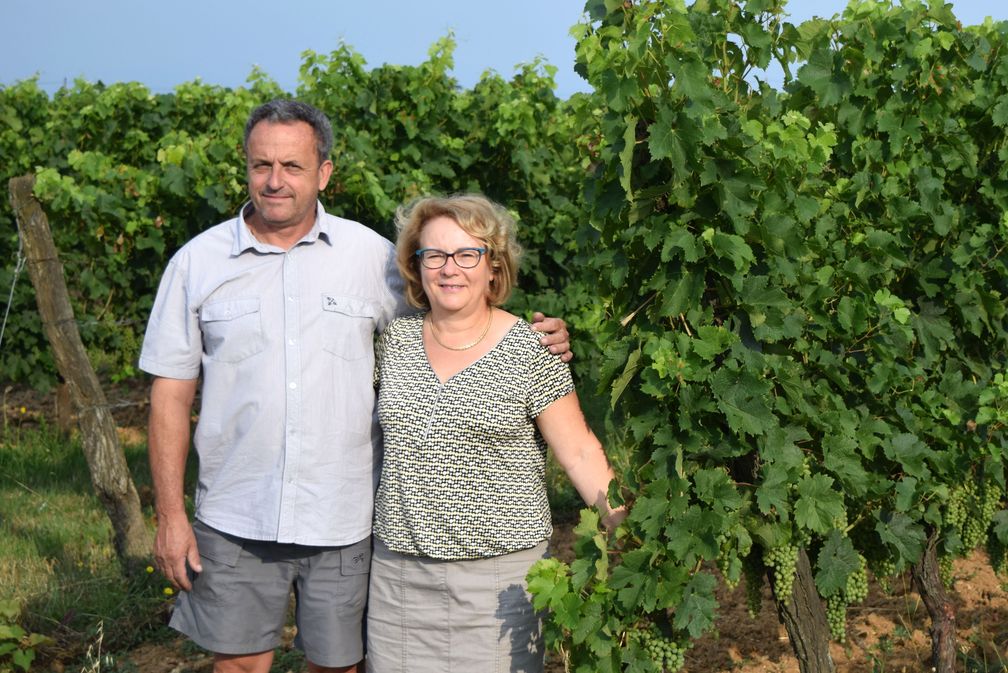 Château Tuquet Monceau - photo 2